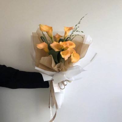 云顶集团下载手机版截图