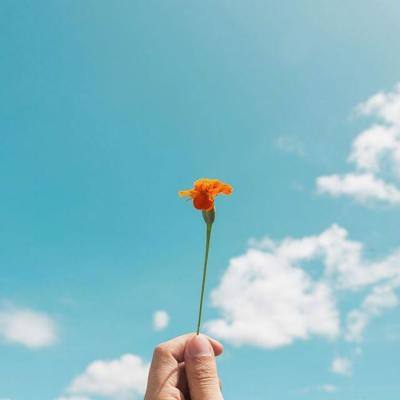 凤凰彩票进入网址