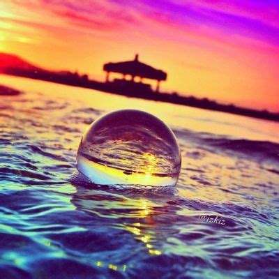 华体会体育下载手机版