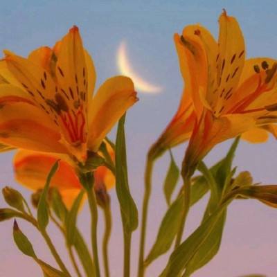 云顶集团下载手机版截图