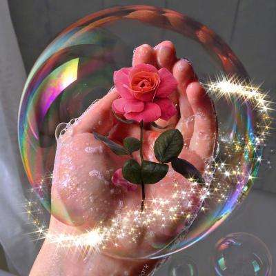 im电竞官网注册