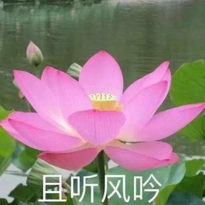 bet体育365官网正规手机app下载